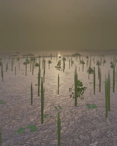 A flat, wet bog under grey fog, sparse reeds standing out of it and a low sun glinting across the water.